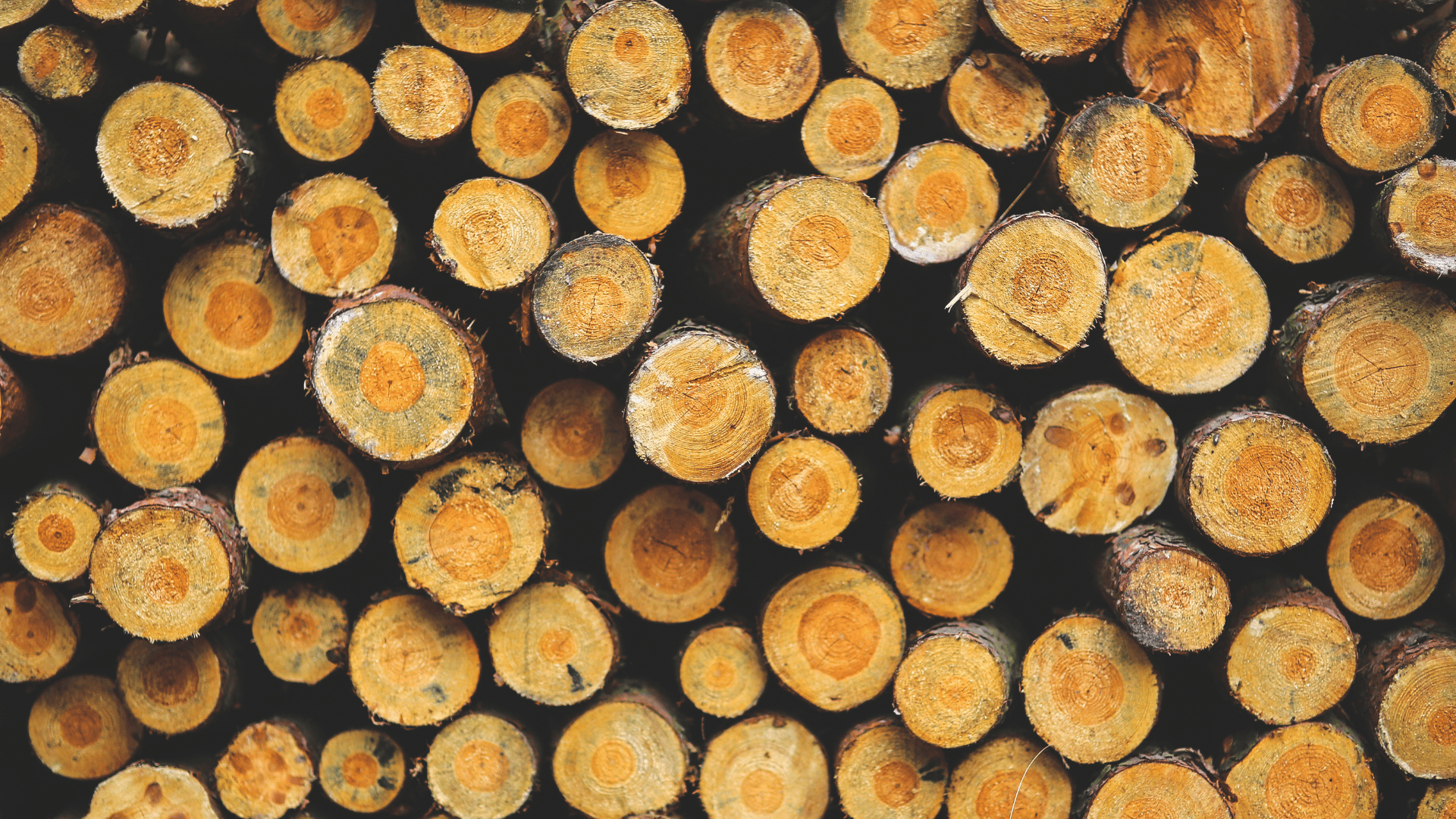 bûches de bois bien rangées Cheminées des Pyrénées Séméac pour chauffage naturel et décoration rustique,